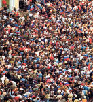 Обществознание - 2025/2026