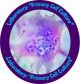 Cell Technology Week 2013