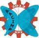 AACIMP - 2013