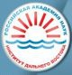 2-я международная конференция СМУ ИДВ РАН
