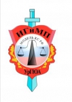 Модель Конституционного Суда