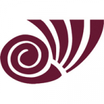 10th International Conference 'Word, Utterance, Text: Cognitive, Pragmatic and Cultural Aspects'