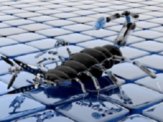 Робототехника - 2025/2026