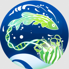 VI Студенческий биохимический форум