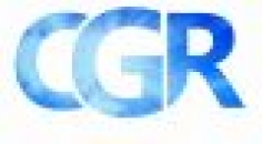 Crystal Government Relation