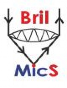 BrilMics 2013