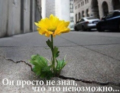 Экология жизни человека