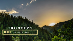Экология: перезагрузка