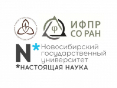 От идеи – к практике