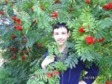 Роман Алексеевич Воронин