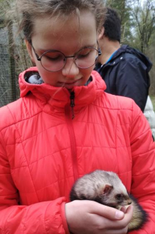 Алиса Вячеславовна Липагина