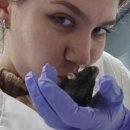 Жиляева Анна Сергеевна