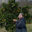 Широколобова Елизавета Викторовна